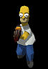 homer3d-s